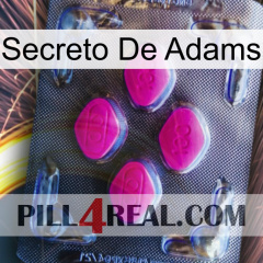 Adams Secret 02